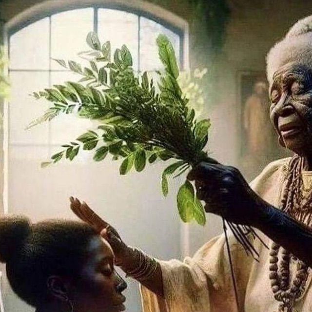 medicina popular das raizeiras, benzedeiras e curandeiras com ervas naturais e saber ancestral